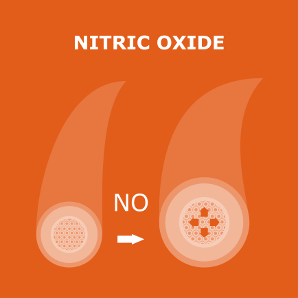 news-nitric-oxide.png